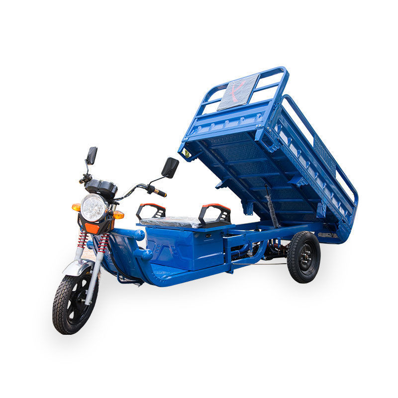 电动三轮车货车载货王成人新款电瓶三轮车农用车快递三轮车拉货