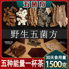 【野生灵芝】野生赤灵芝树舌桑黄茯苓黄云芝五种纯野生灵芝搭配