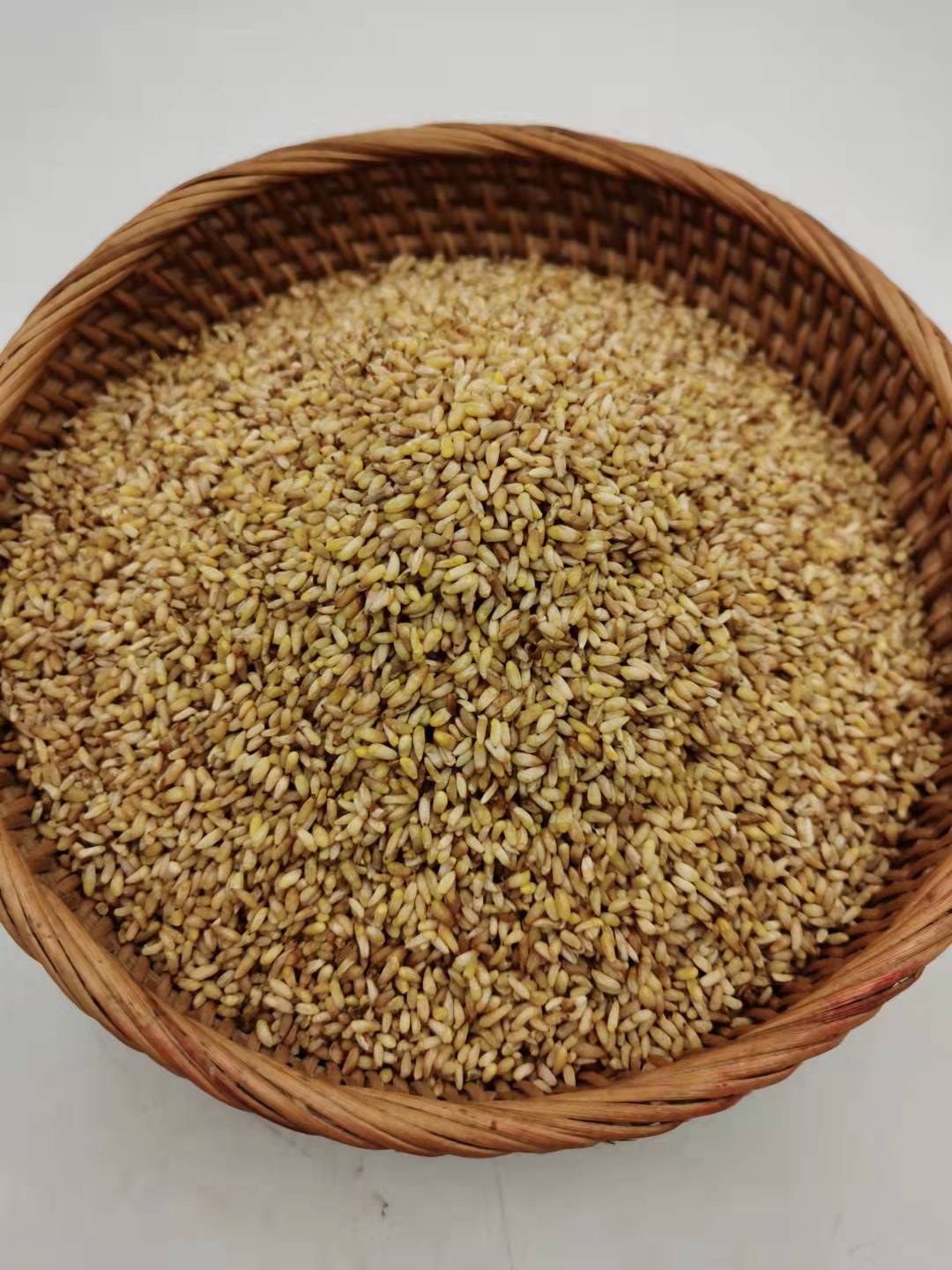 山东柏子仁柏子仁去壳柏子仁1市斤心稳中药产地直供