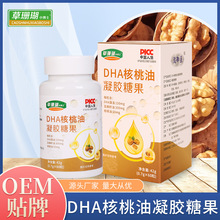 DHA核桃油凝胶糖果dha藻油软胶囊深海藻油厂家批发一件代发