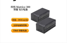 大疆 (DJI) 经纬 M300 RTK 无人机 TB60 智能飞行电池 一组（2块