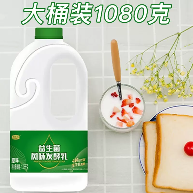 益生菌酸奶原味风味发酵乳大桶装早餐酸牛奶瓶装整箱-阿里巴巴