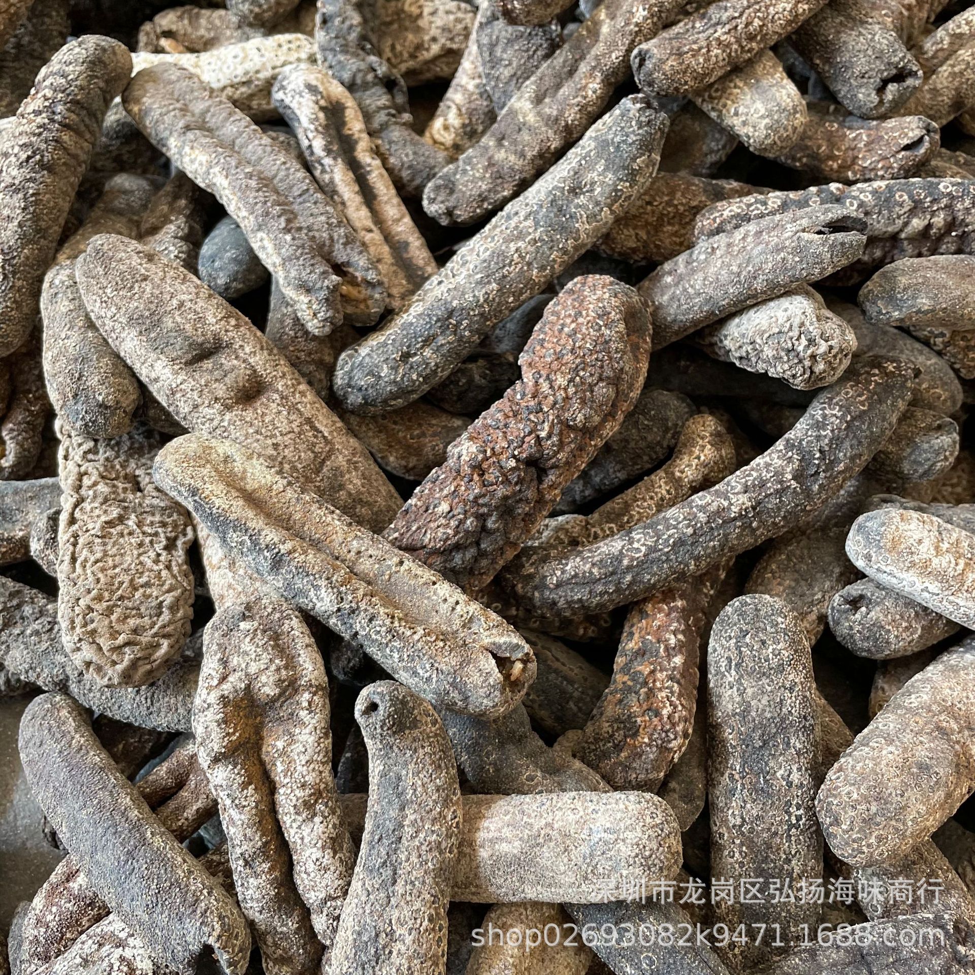 新几内亚虎皮参 黑虎皮参 大赤参 赤条海参干货 7-15头