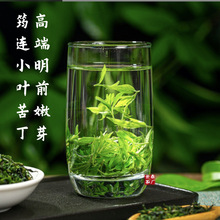 余庆小叶苦丁茶正品发酵特级贵州特产苦茶叶袋装茶