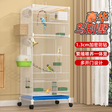 豪华繁殖喂养笼加高加密鸟笼子虎皮鹦鹉笼鹦鹉笼玄风笼多层鸟别墅