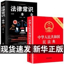 民法典+法律常识一本全 正版全套及司法解释 民法典实用版 国家标