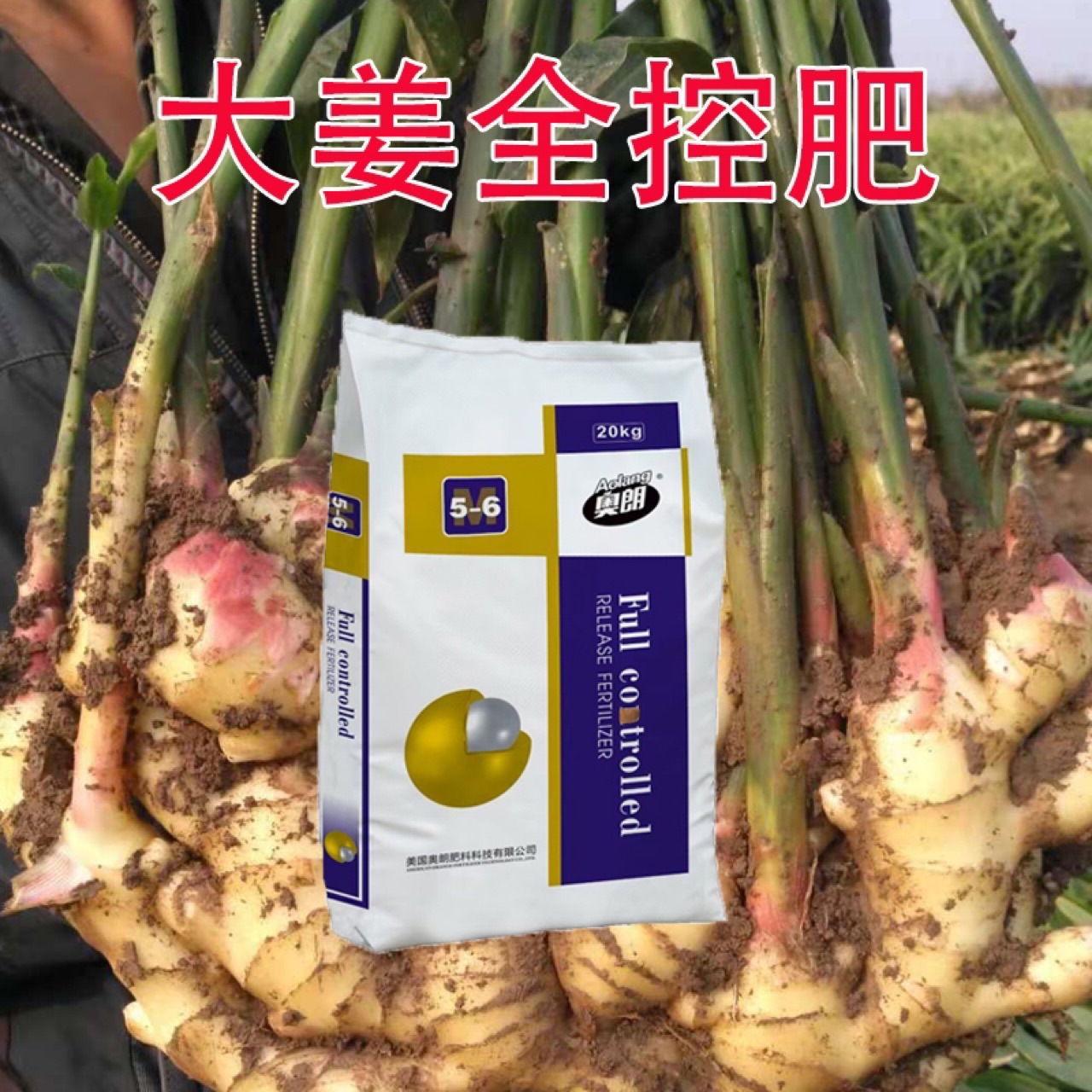 大姜专用缓控释肥复合肥氮磷钾三元化肥花卉园艺肥平衡型绿植肥料