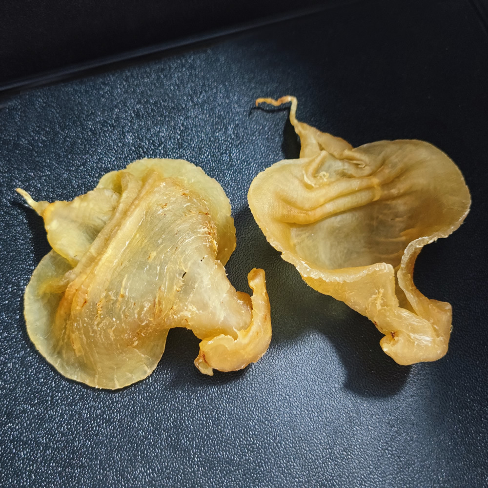 海蕴天成本港赤嘴鱼胶16头规格石肚造型125g花胶礼盒4只装