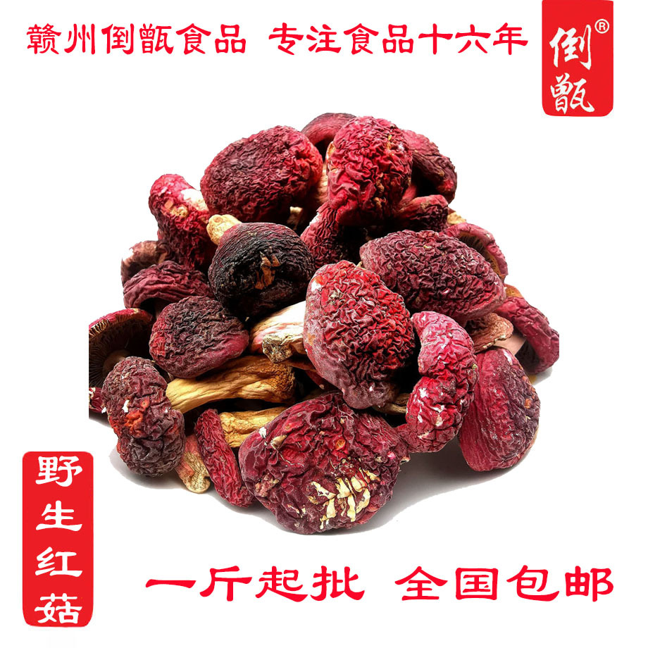 江西赣南特产野生红菇红稚菌王魔菇月子菇野山珍菇王散装干食用菌