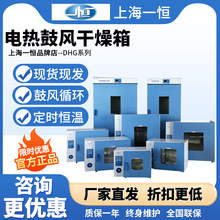 上海一恒DHG-9420A/DHG-9620A鼓风干燥箱实验室9920A电热恒温烘箱