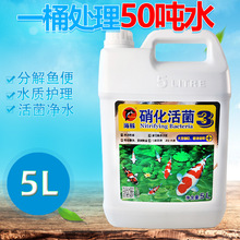 锦鲤药水海豚硝化细菌5L鱼池除虫净水澄清剂消化