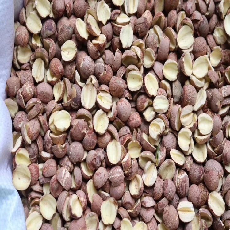 一手货源批开边红莲红皮圆莲去芯湘莲湘潭莲子红边莲煲汤材料