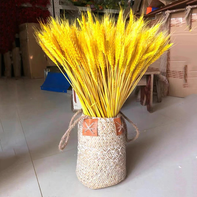 金黄色麦穗干花花束 客厅园林插花麦穗干花开业大麦花篮干花插花