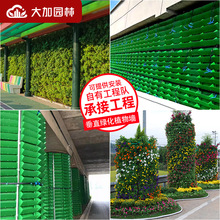 户外真植物围挡垂直绿化工程壁挂花盆植物墙绿植墙塑料种植盒批发