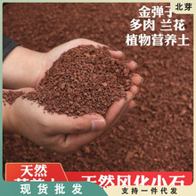 四川天然风化石金弹子兰花多肉生根营养土酸性土渗水石红土颗粒