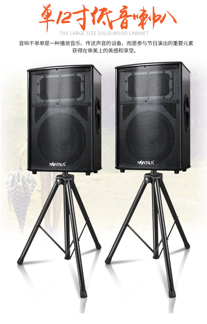金正u15大功率舞台音箱套装专业大型演出落地式hifi全套设备音响