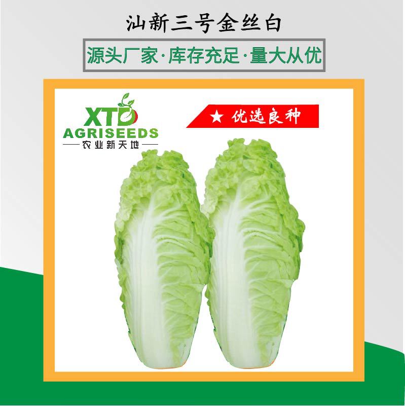 金丝白小白菜种子籽青菜瓜果蔬菜种子籽孑快菜结球菜庭院阳台种植