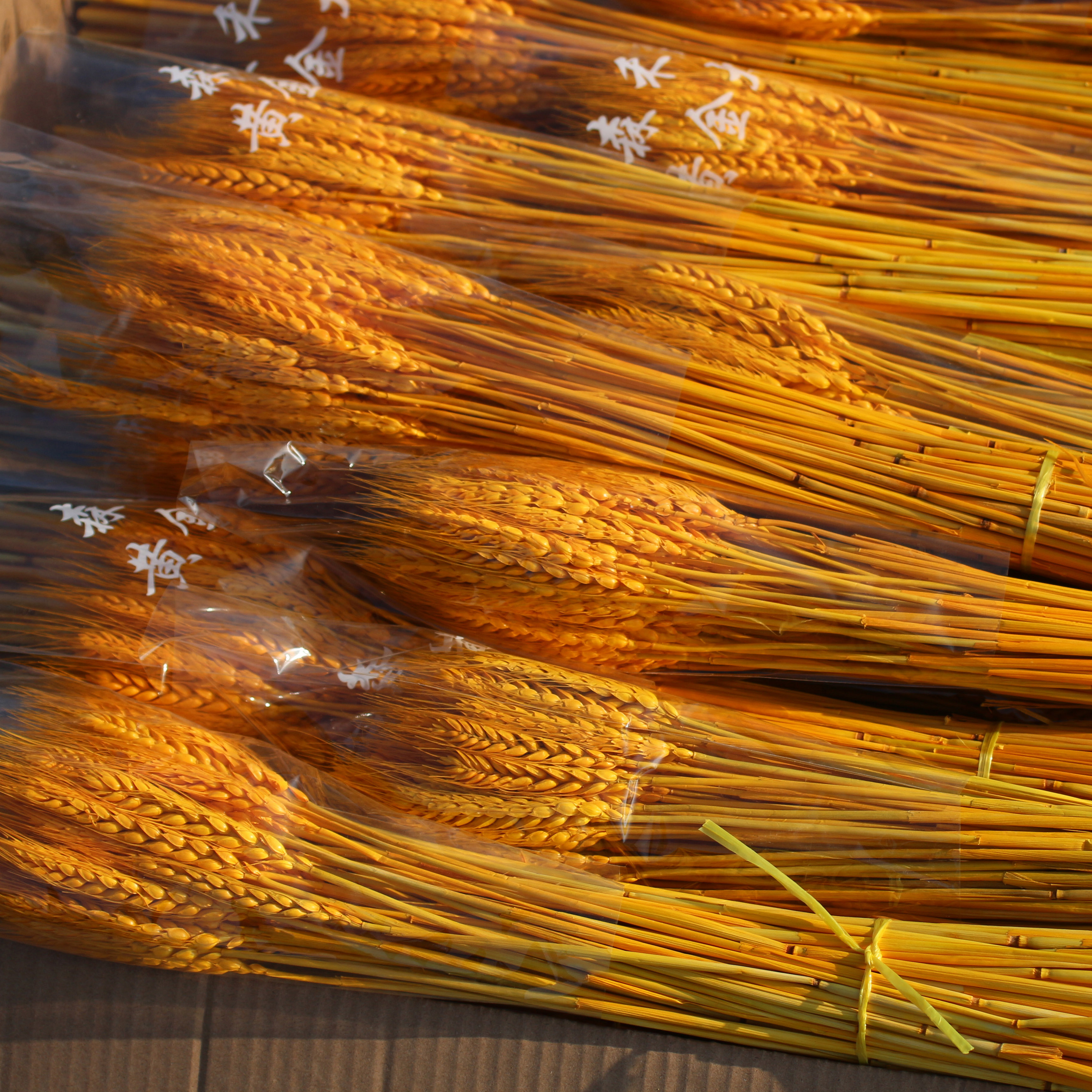 开业大麦花篮麦穗干花装饰花店资材插花送朋友门口落地摆件原材料