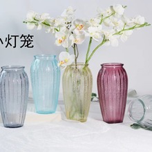 批发灯笼玻璃花瓶 欧式透明彩色玻璃花瓶 客厅家居摆件干花插花器