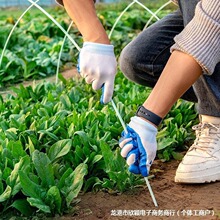 温室塑料蔬菜养殖小型大棚骨架玻璃纤维小拱棚实心杆塑料菜园地膜