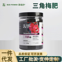 三角梅专用肥料开花促花催花肥家用室内花肥氮磷钾复合肥三角梅肥