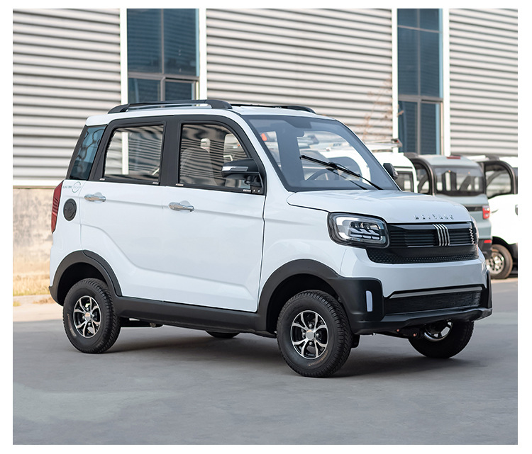 新能源电动汽车 成人油电两用四轮电动代步车 小型家用轿车女性