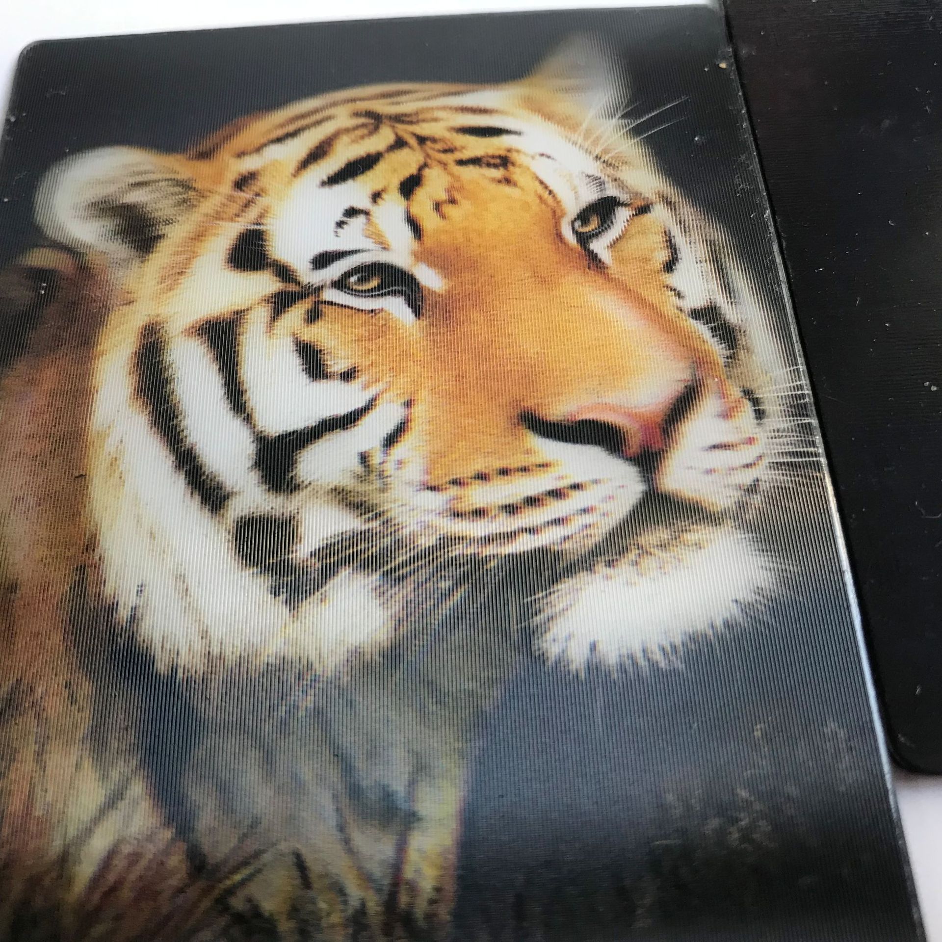 3d立体印刷冰箱贴裸眼3d光栅片印刷磁性冰箱贴-阿里巴巴