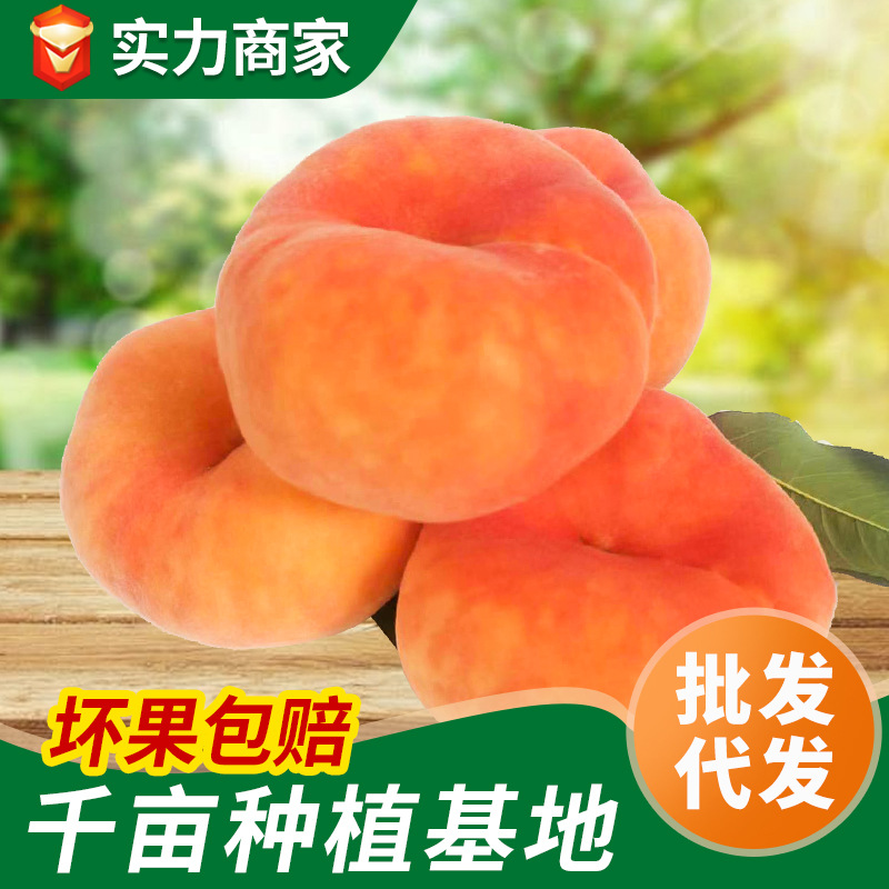 山东蒙阴新鲜黄油蟠桃新鲜水果黄金蟠桃扁桃高档水蜜桃彩虹蟠桃