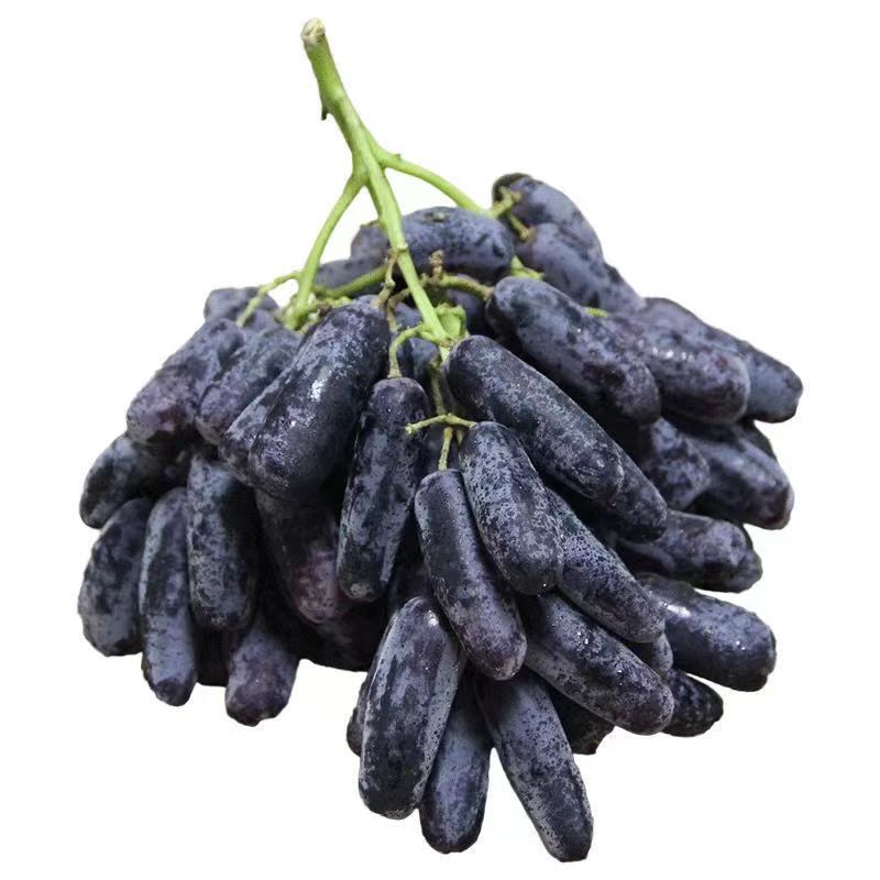 澳洲金手指黑提美人指葡萄黑手指拇指无籽提子2斤可包邮