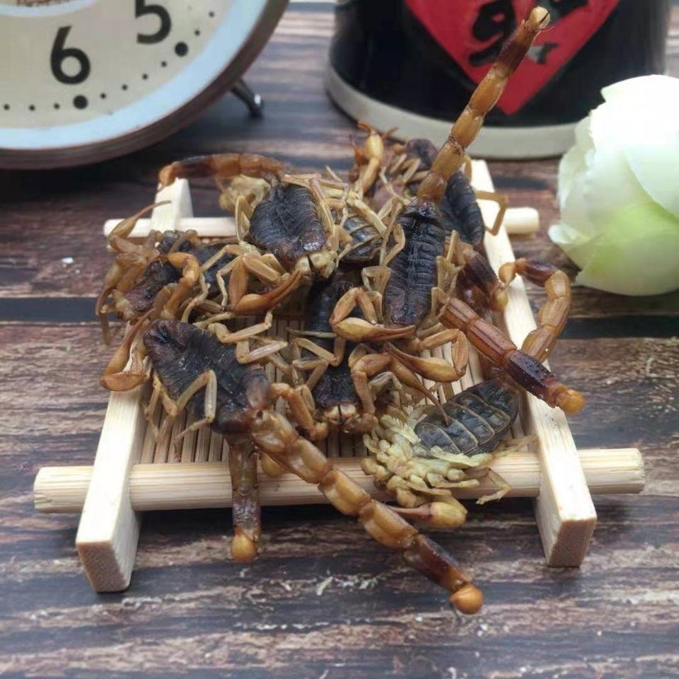 全蝎 蝎子全虫批发清水蝎子实物拍摄【文杰中药材】