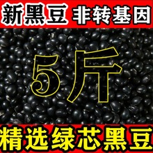 黑豆22年新货打豆浆专用黄心黑小豆打豆浆醋泡生豆芽农家自产批发