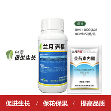 兰月 奔福 0.004%芸苔素内酯蔬菜促生长调节剂10ml-100ml