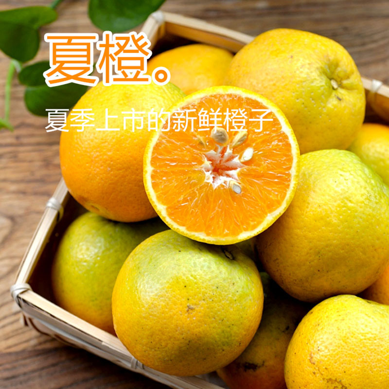 广西夏橙夏季现摘新鲜高山橙子应季当季水果整箱皮薄多汁可榨汁用