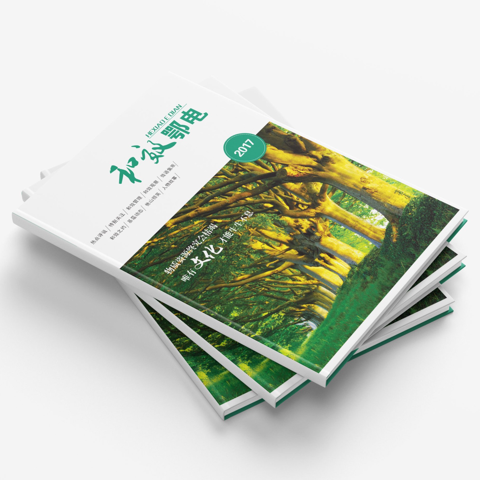 画册印刷广告宣传册制作说明书公司折页海报图册小批量打印设计