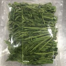 厂家批发香芽菜冷冻冰鲜环保打开即食直接可吃