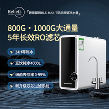 净水机双出水1000G家用净水器直饮智能家用净化过滤RO零陈水厨下