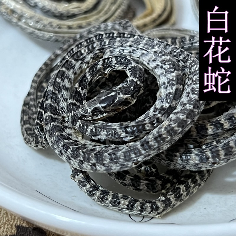批发中药材 白花蛇 金钱白花蛇 实物拍摄免费打粉白花蛇