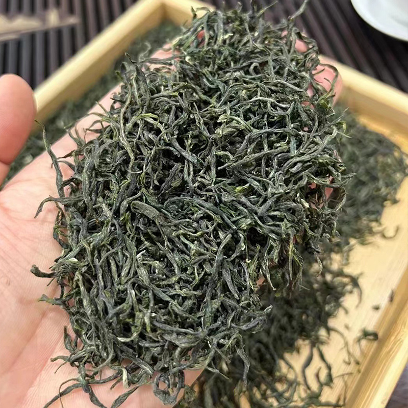 信阳毛尖散装茶2024年新茶绿茶1斤装品质口粮茶批发超市散称差
