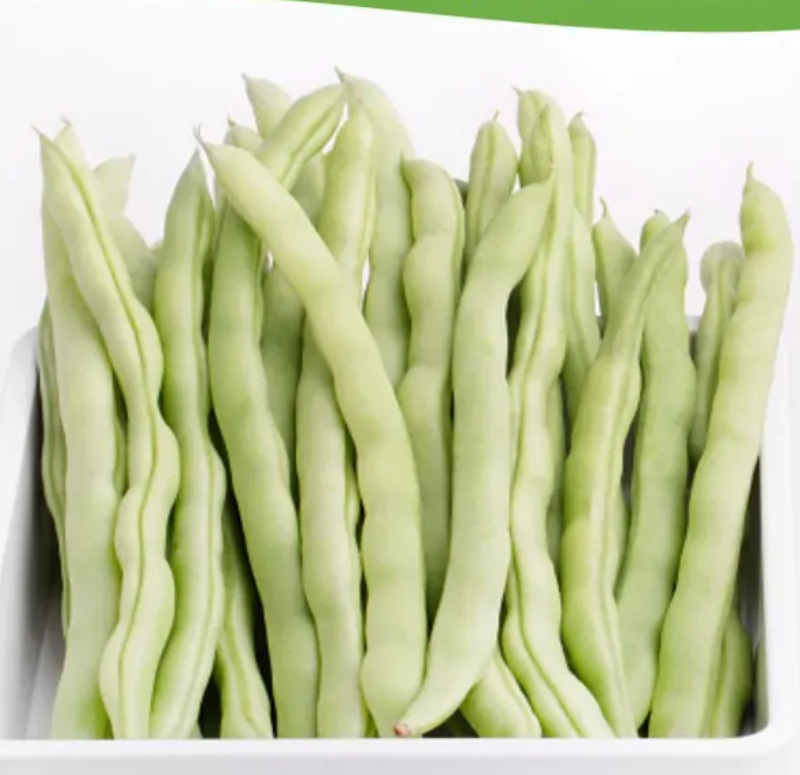 深圳四季豆-深圳四季豆厂家,品牌,图片,热帖-阿里巴巴