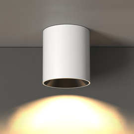 明装筒灯灯批发led小吸顶灯圆形免开孔过道灯入户走廊玄关天花筒