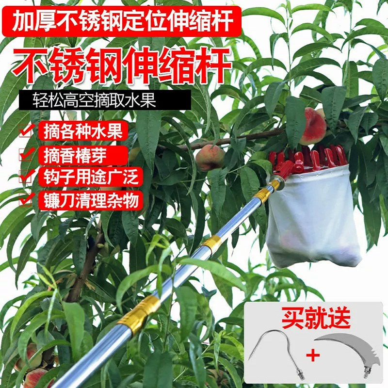 摘酸枣神器山摘八角果树上伸缩杆荔枝核桃柿子工具不锈钢高空