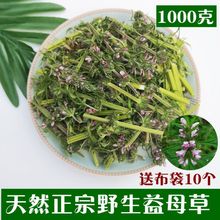 益母草新货野生干益母草益母草茶包野生益母草茶气血250g泡茶泡脚