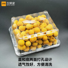 EAO4龙眼包装盒1000M3一次性透明塑料加厚两斤装桂圆贴标签水果打