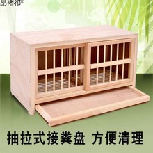 宠物托运,北京,上海,广州,广东,深圳,浙江杭州,贵州
