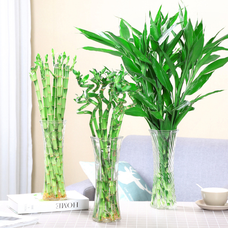 简约创意欧式家用客厅水养富贵竹摆件办公室银柳花瓶餐厅装饰花器