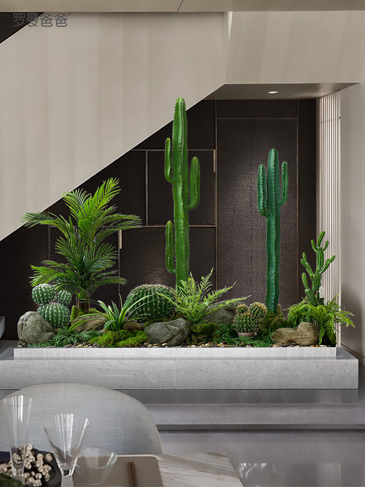 可代发植物装饰仙人柱盆景绿植角落造景橱窗室内景观设计