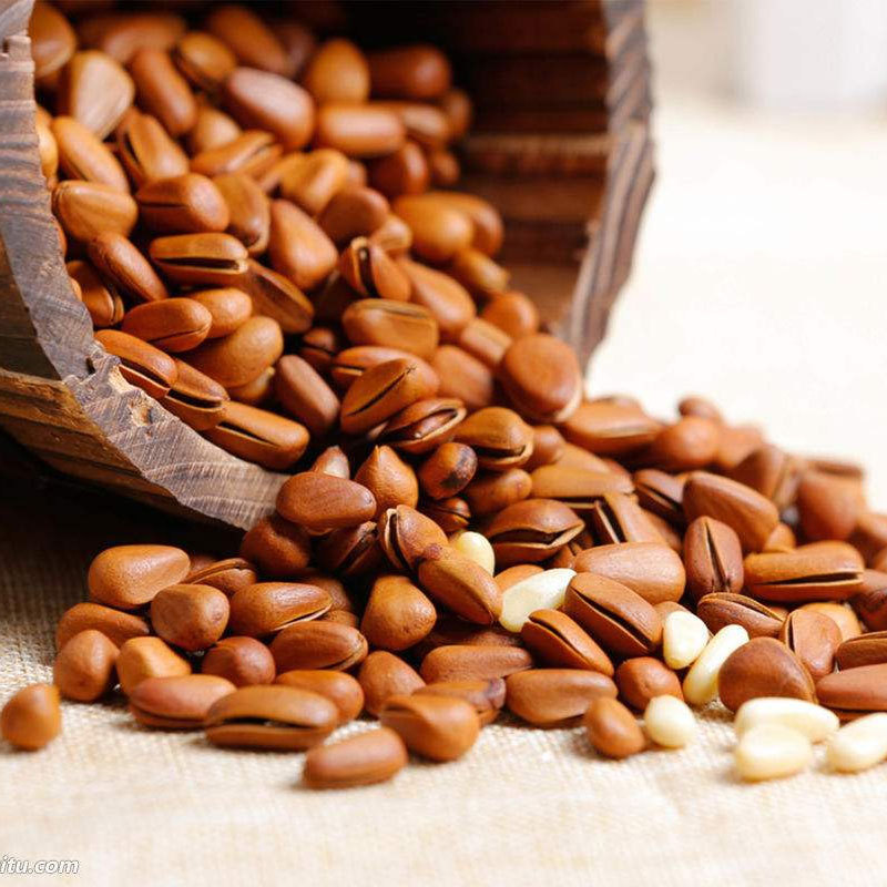 新货东北松子手剥500g开口松籽孕妇儿童原味特大颗粒坚果零食特产