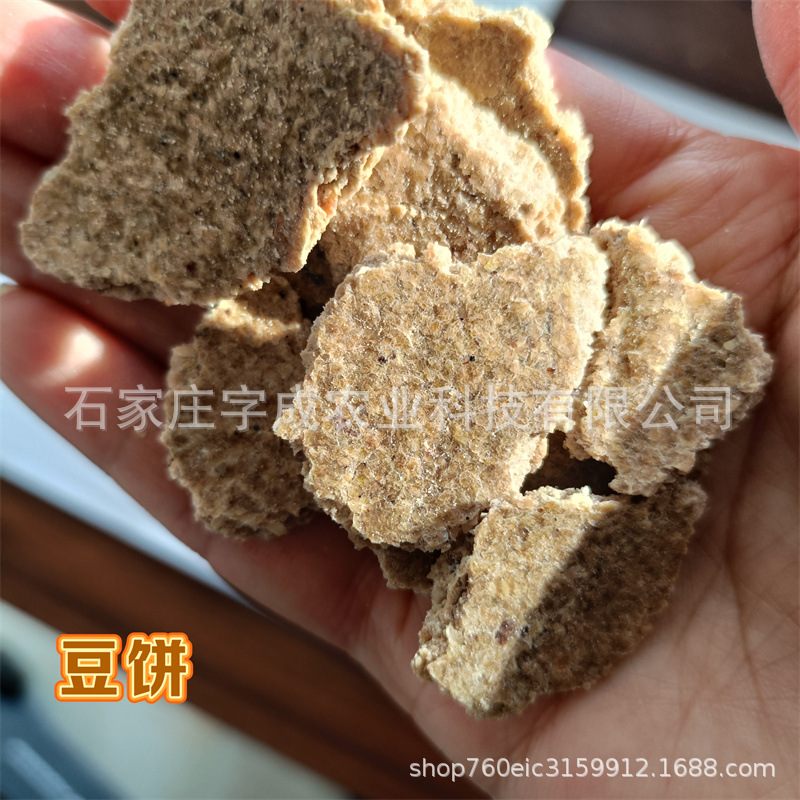 豆饼黄豆豆饼水产料钓鱼打窝料动物饲料适口性好增重快促生长