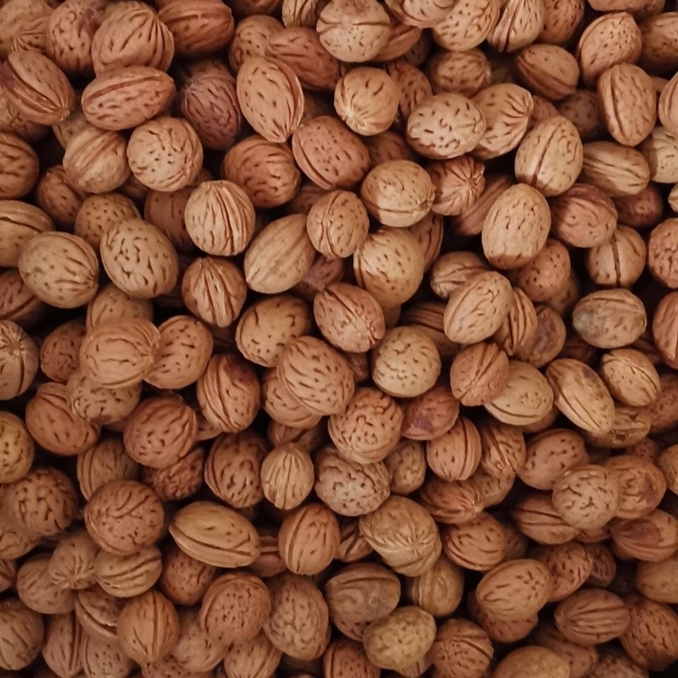 野生山桃核手剥桃胡枕头填充物按摩颈椎原料雕刻桃核散称按斤包邮