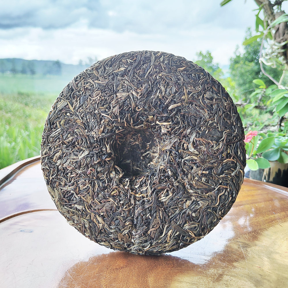 弯弓古树茶 早春高杆普洱生茶 易武普洱大树茶饼 古六大茶山批发